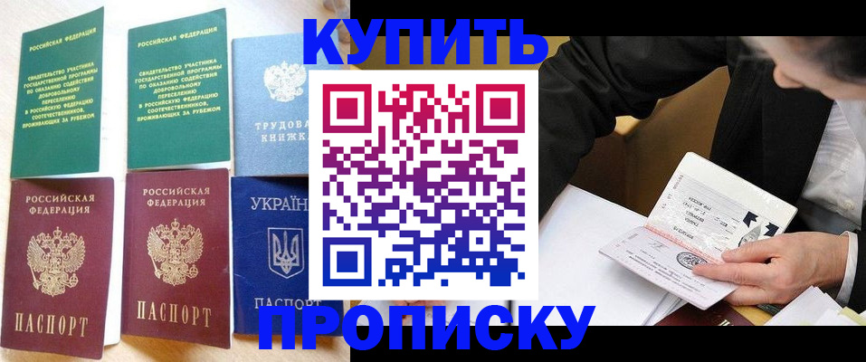 прописка для школы в Ельце